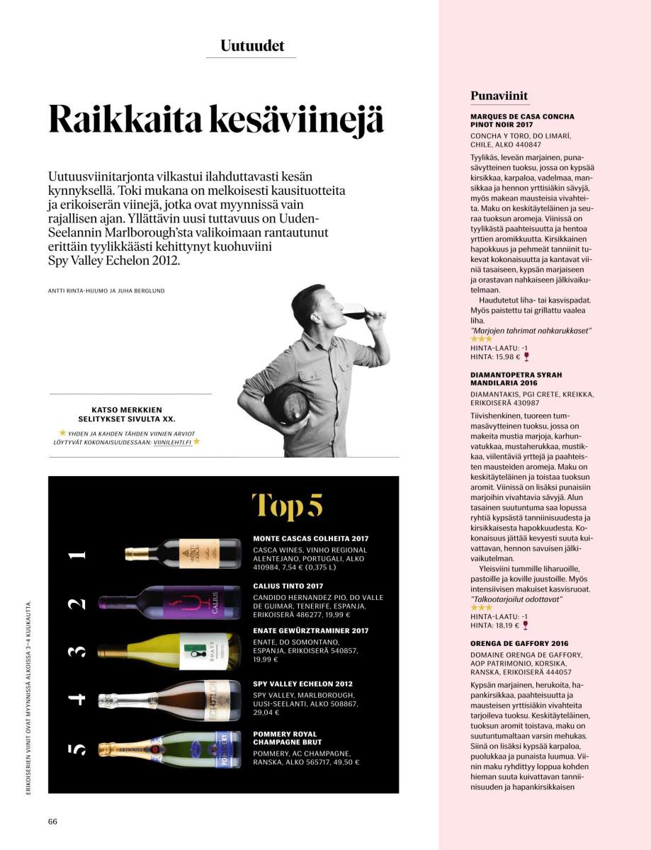 Revista VIINI Finlandia